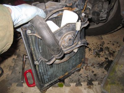 Radiator & cooling fan.
Keywords: gl1200;goldwing;1984